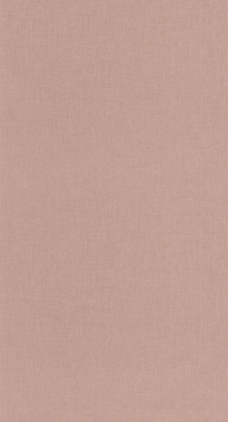 Picture of Uni Noisette - 68522479