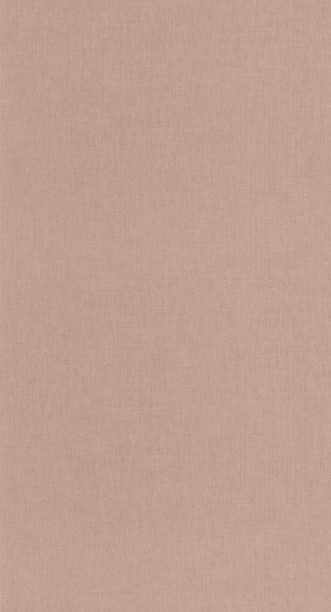 Picture of Uni Noisette - 68522479