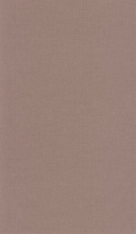 Picture of Uni Praline - 68522766