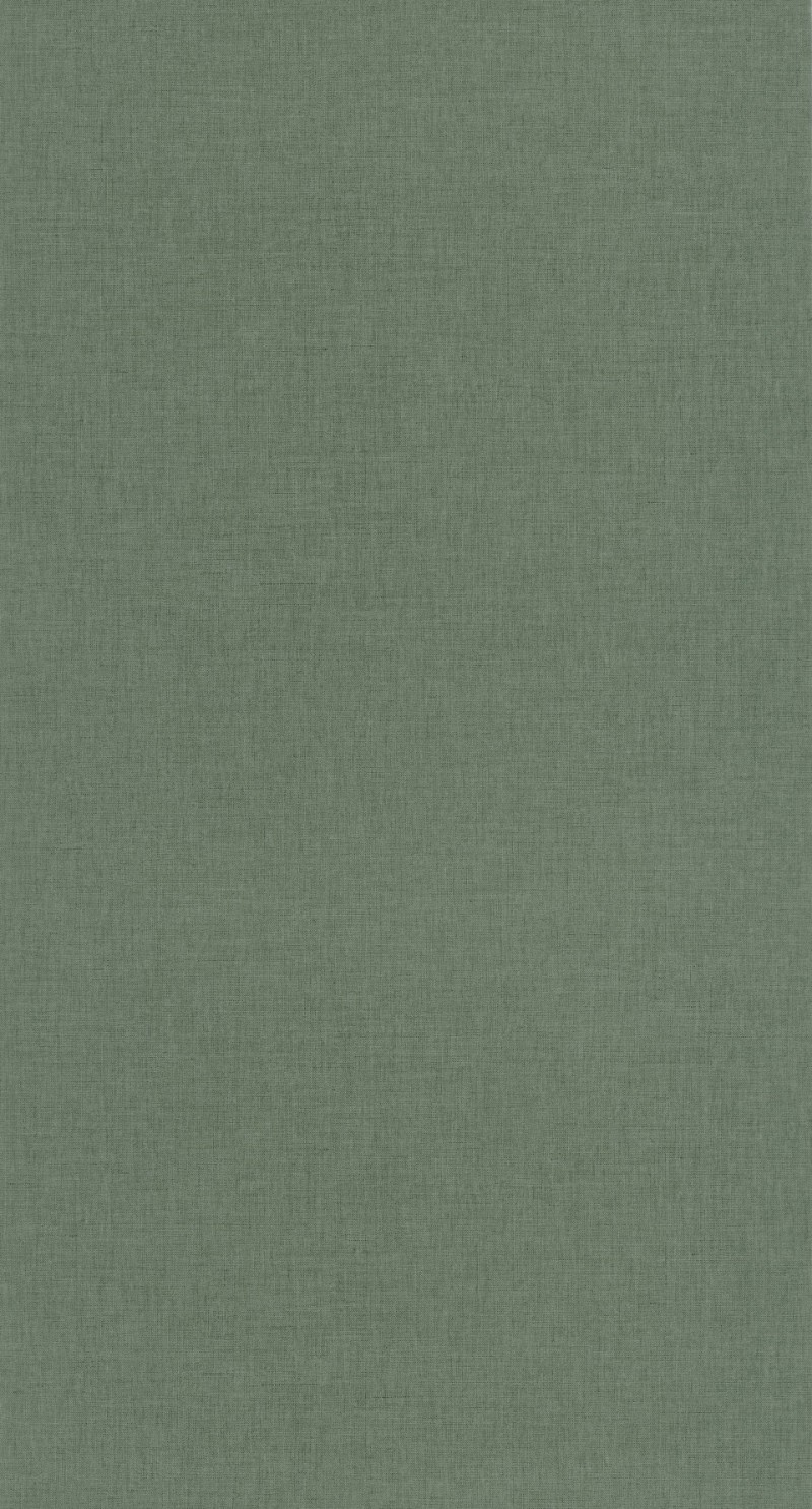 Image de Uni Vert Bouteille - 68527852