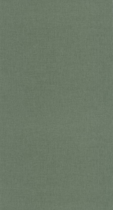 Image de Uni Vert Bouteille - 68527852