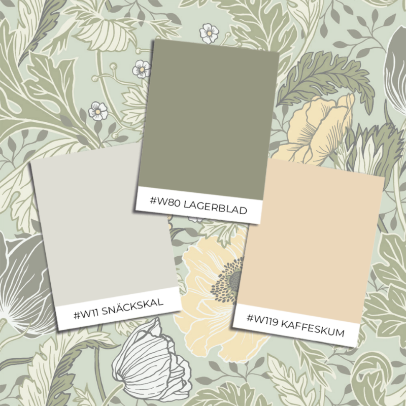 Obrázok z Anemone - 34034