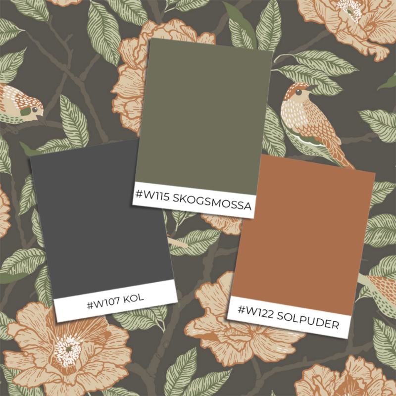 Picture of Bernadina - 34026