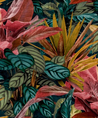 Picture of Malika - WL2002