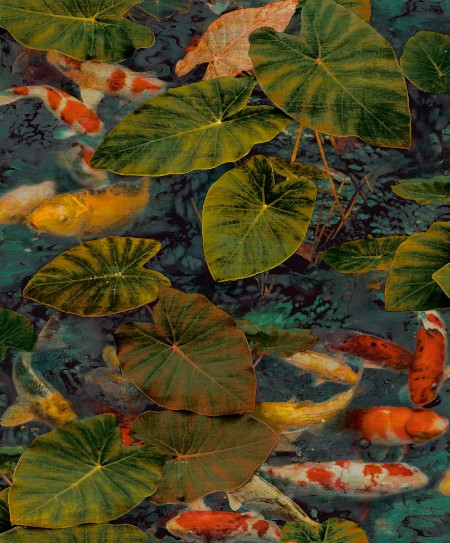 Obrázok z Malika - WL2402