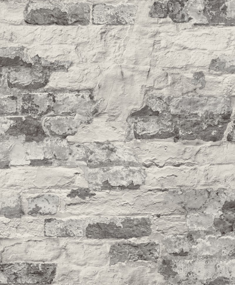 Image de Malika - WL3301