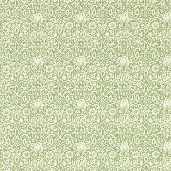 Picture of Borage Leafy Arbour - MEWW217198