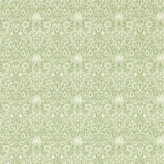 Image de Borage Leafy Arbour - MEWW217198