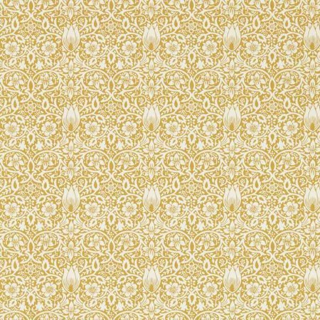 Image de Borage Sunflower - MEWW217197