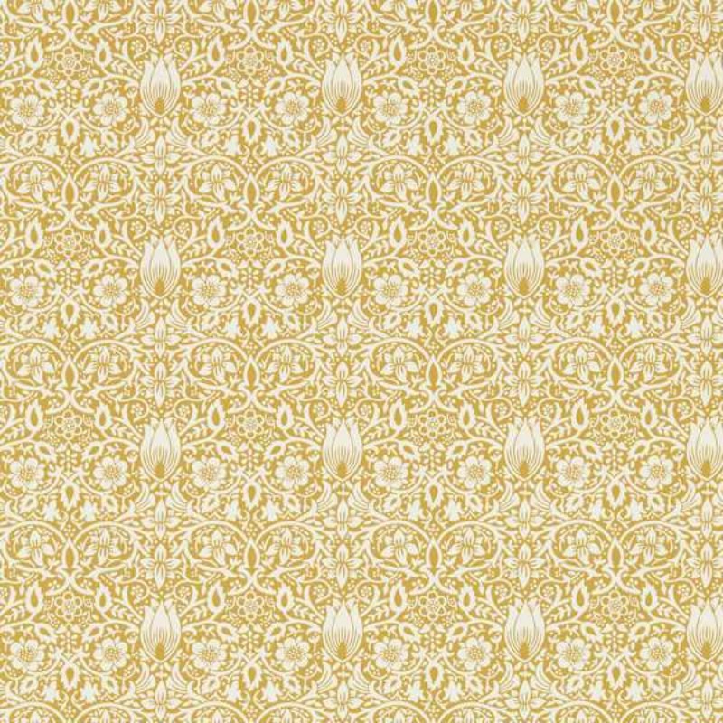 Picture of Borage Sunflower - MEWW217197