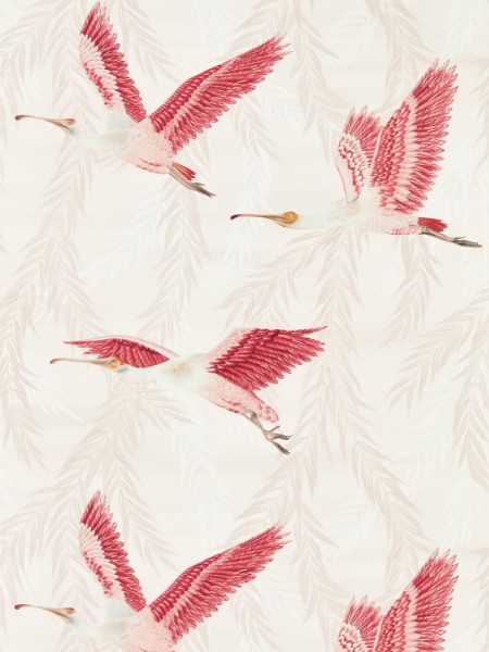 Picture of Valentina - HDHW112911