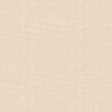 Image de Uni Mat Beige Rose Clair - 104011700