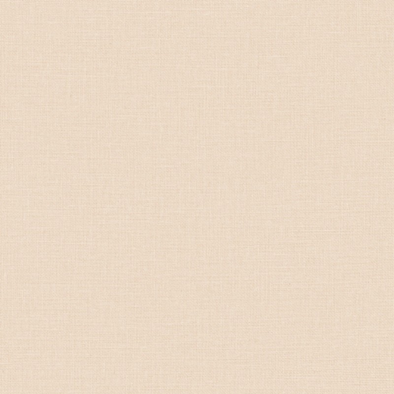 Image de Uni Mat Beige Rose Clair - 104011700