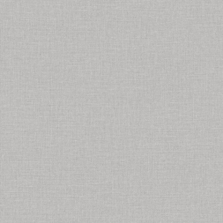 Image de Uni Mat Gris Clair - 104019156