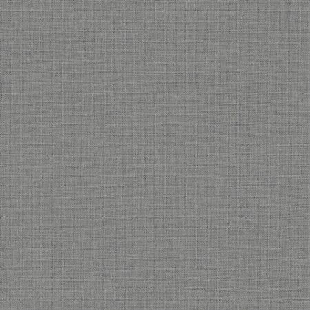 Image de Uni Mat Gris Fonce - 104019243