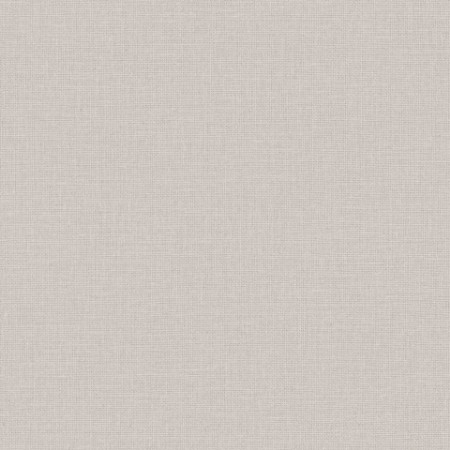 Slika Uni Mat Taupe Clair - 104012425