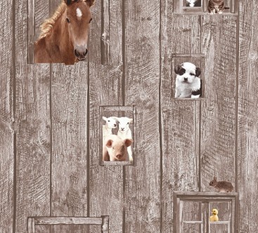 Afbeeldingen van Little Stars - 35842-2