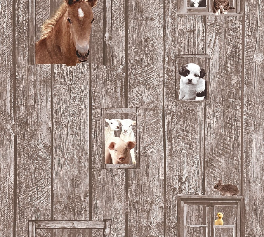 Afbeeldingen van Little Stars - 35842-2