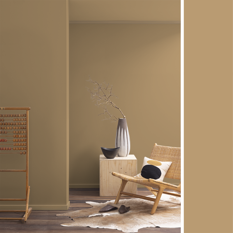 Image de Coloration - Moa F-007-00001-02