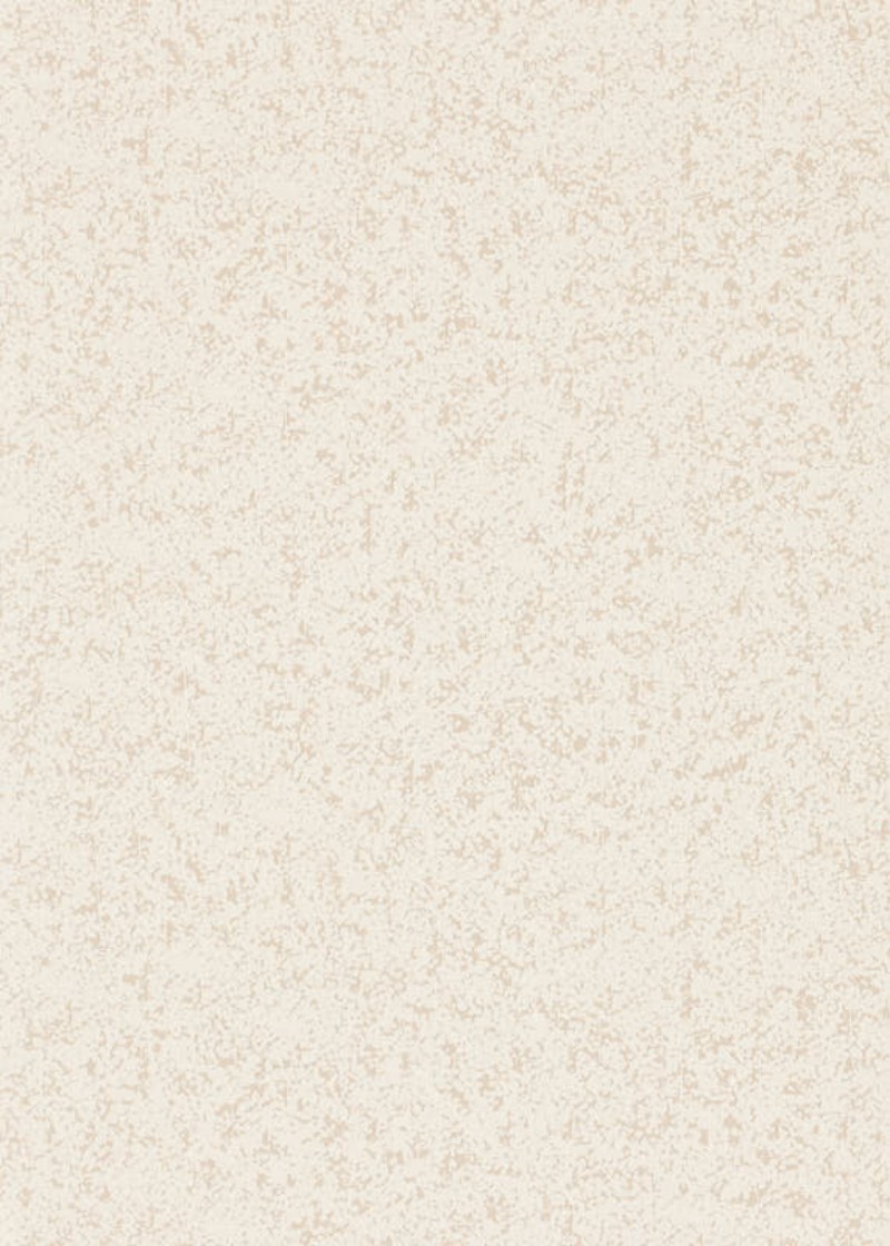 Picture of Coral Parchment - EREE110763