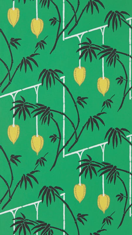 Picture of Kimiko Bottle Green/Chartreuse - HQN3112938