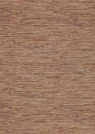 Image de Seri Amber - EREE110767