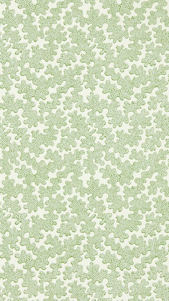 Picture of Zori Forest/First Light - HQN3112934