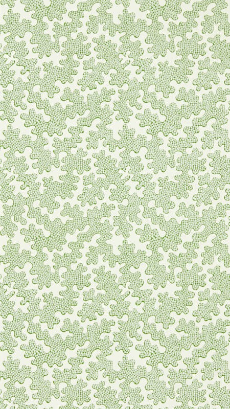 Picture of Zori Forest/First Light - HQN3112934