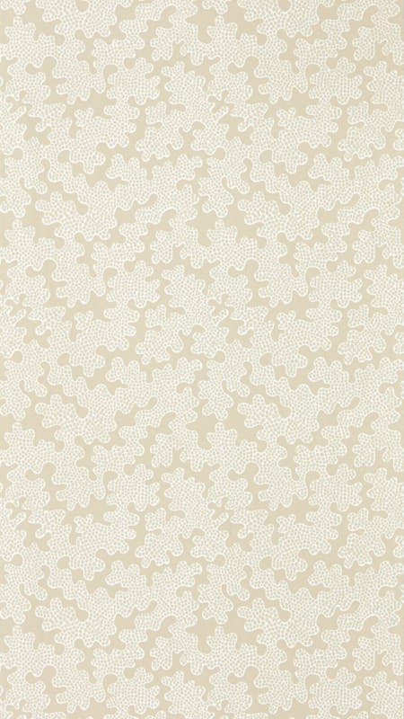 Picture of Zori Shiitake/Fig Blossom - HQN3112932