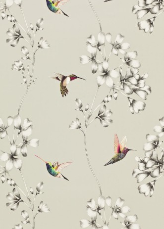 Bild på Amazilia - HAMA111062