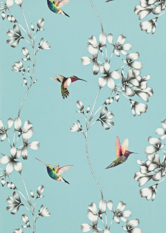 Bild på Amazilia - HAMA111060