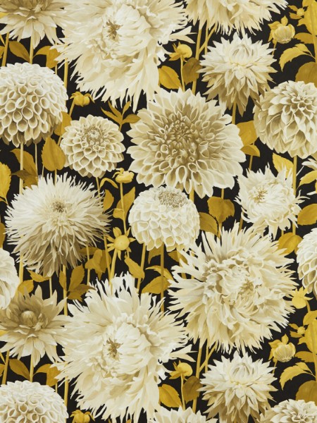 Bild på Dahlia Fig Blossom/Nectar/Black Earth - HQN2112846