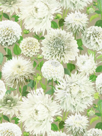 Picture of Dahlia Sail Cloth/Meadow/Gilver - HQN2112844