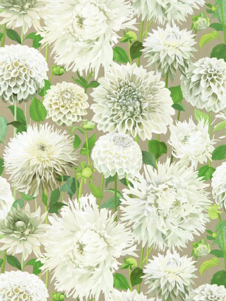 Picture of Dahlia Sail Cloth/Meadow/Gilver - HQN2112844