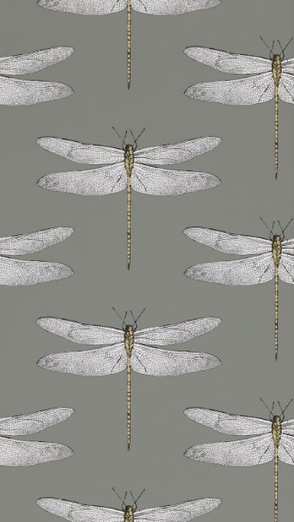 Picture of Demoiselle Graphite/Almond - HGAT111242