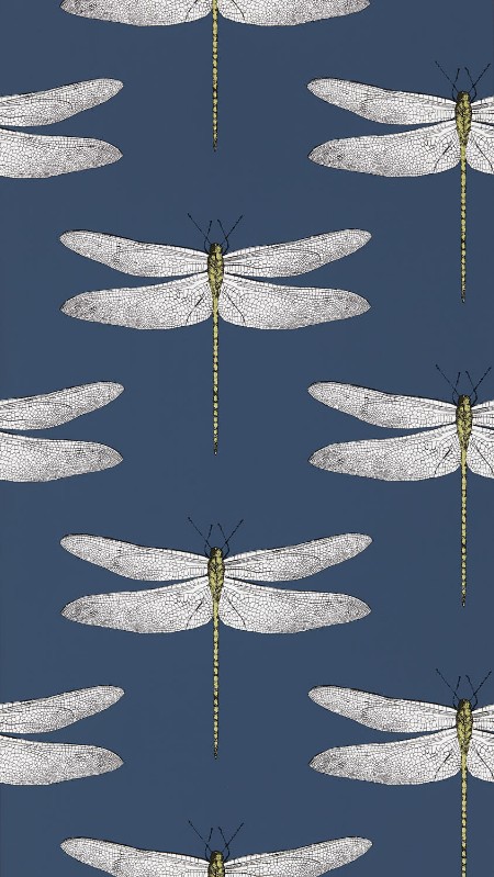 Picture of Demoiselle Ink/Chartreuse - HGAT111243