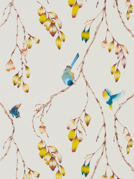 Picture of Iyanu Papaya/Kiwi - HZAP111770