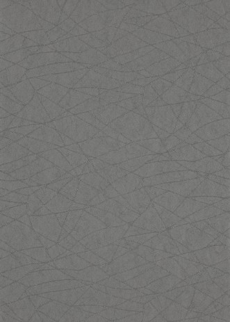 Picture of Koto - HMOW110894