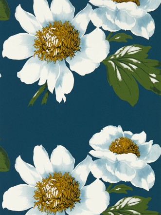 Picture of Paeonia Azurite/Meadow/Nectar - HQN2112842