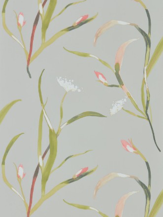 Bild på Saona - HZAP111756