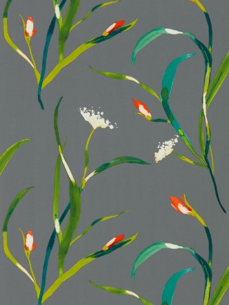 Bild på Saona - HZAP111758