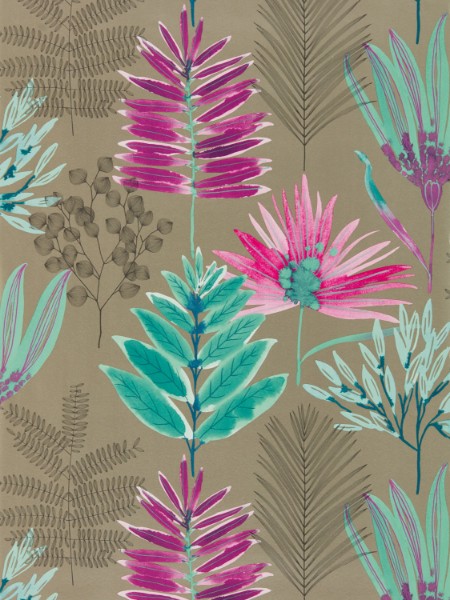 Picture of Yasuni - HZAP111760