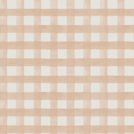 Picture of Watercolour Gingham Soft Coral - 13292