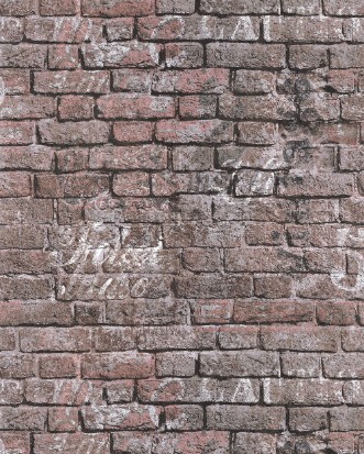 Picture of Les Aventures 21 - 11201610