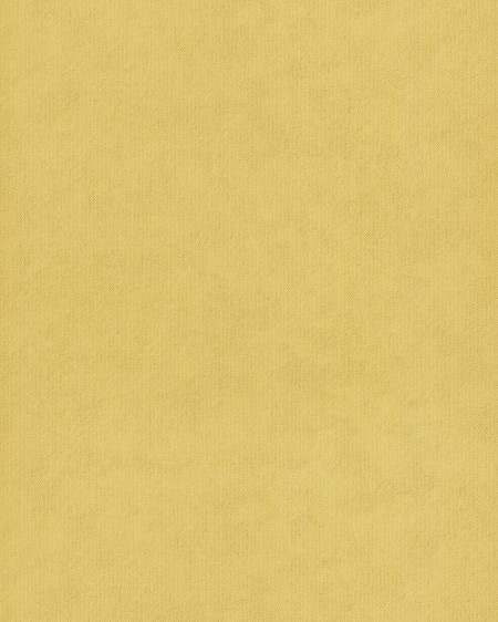 Picture of Les Aventures 21 - 11202302