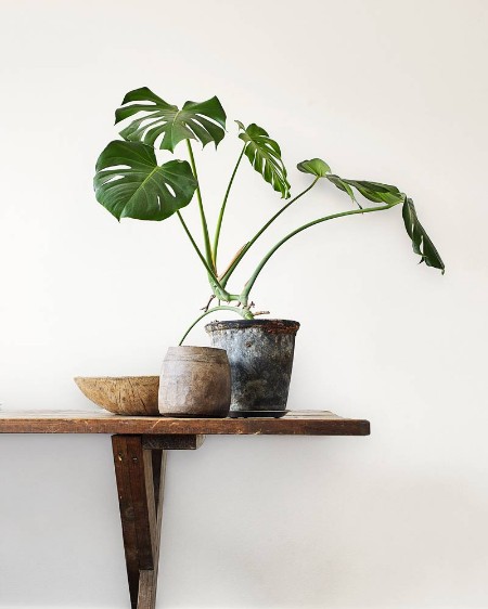 Picture of Living@HOME NW - 491641