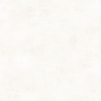 Bild på Telas 2 Uni Metalises Blanc Nacre - 102070000