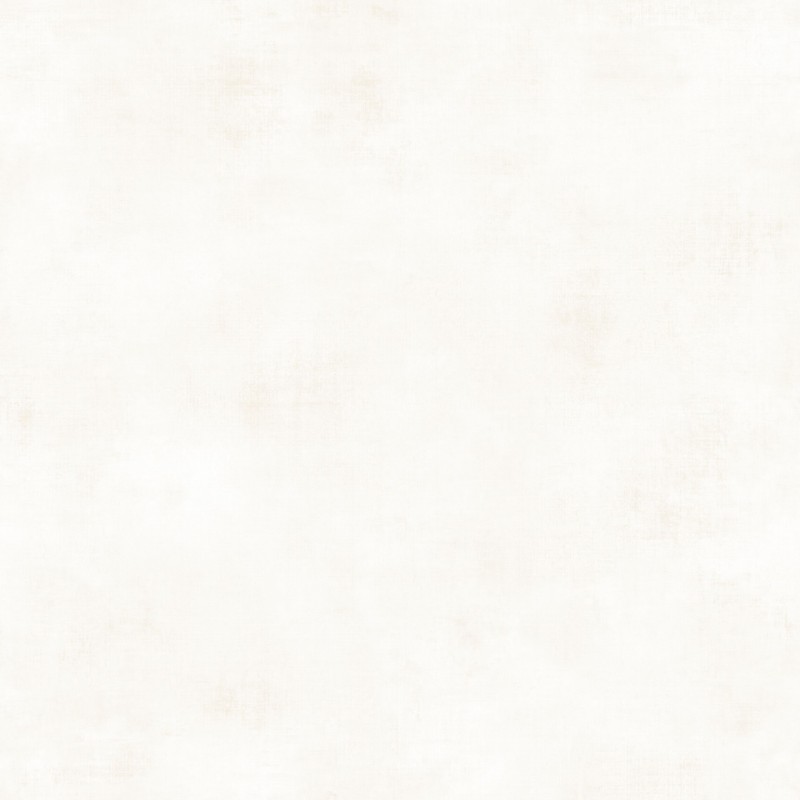 Afbeeldingen van Telas 2 Uni Metalises Blanc Nacre - 102070000