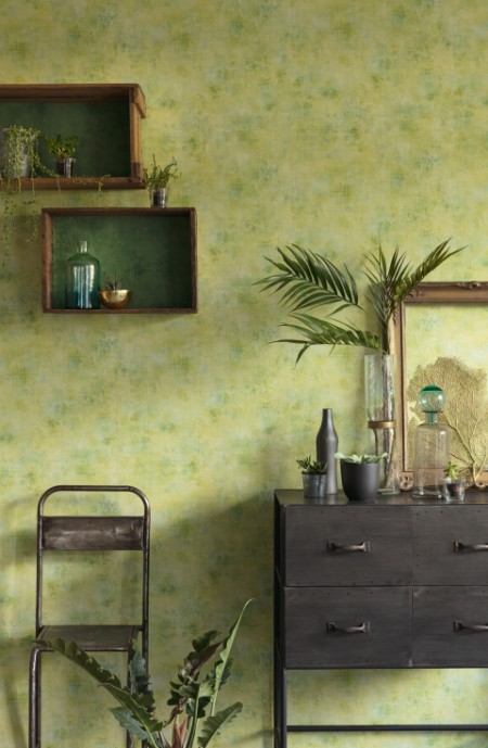 Image de Telas 2 Uni Vert Bleu - 69877266