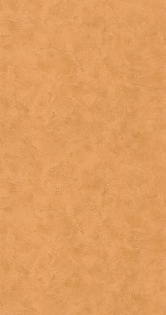 Picture of Patine 2 Uni Ambre - PAE100222388